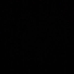 Meet your Posher, Griffin